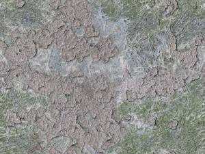 Стены и штукатурка