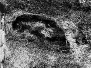 Dirt mask(Грязевые маски)