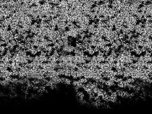 Dirt mask(Грязевые маски)