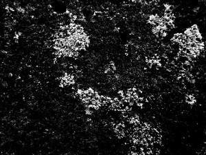 Dirt mask(Грязевые маски)