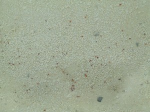 Стиль: Новая Зелландия