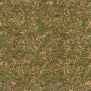 Текстуры земли -1